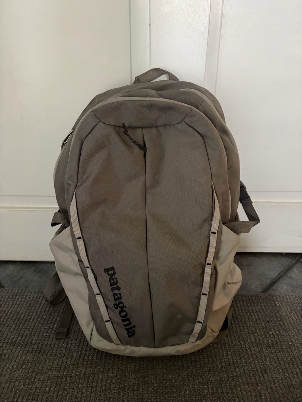 Patagonia Backpack 30L